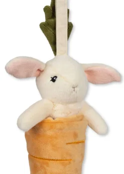 Activity Music Carrot