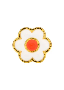 Anemone