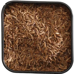Basic Spices