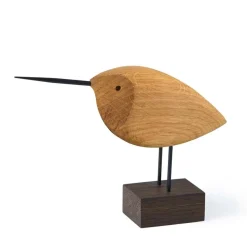 Beak Bird