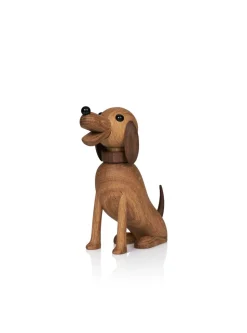 Bella the Dog