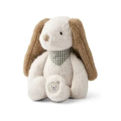Binnie Small Teddy