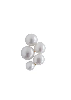 Bloom Berries Earring