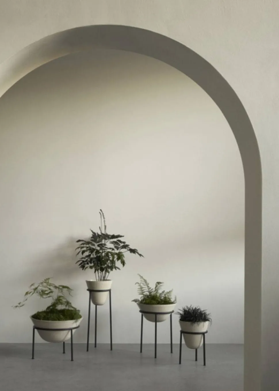 Daiza Planter
