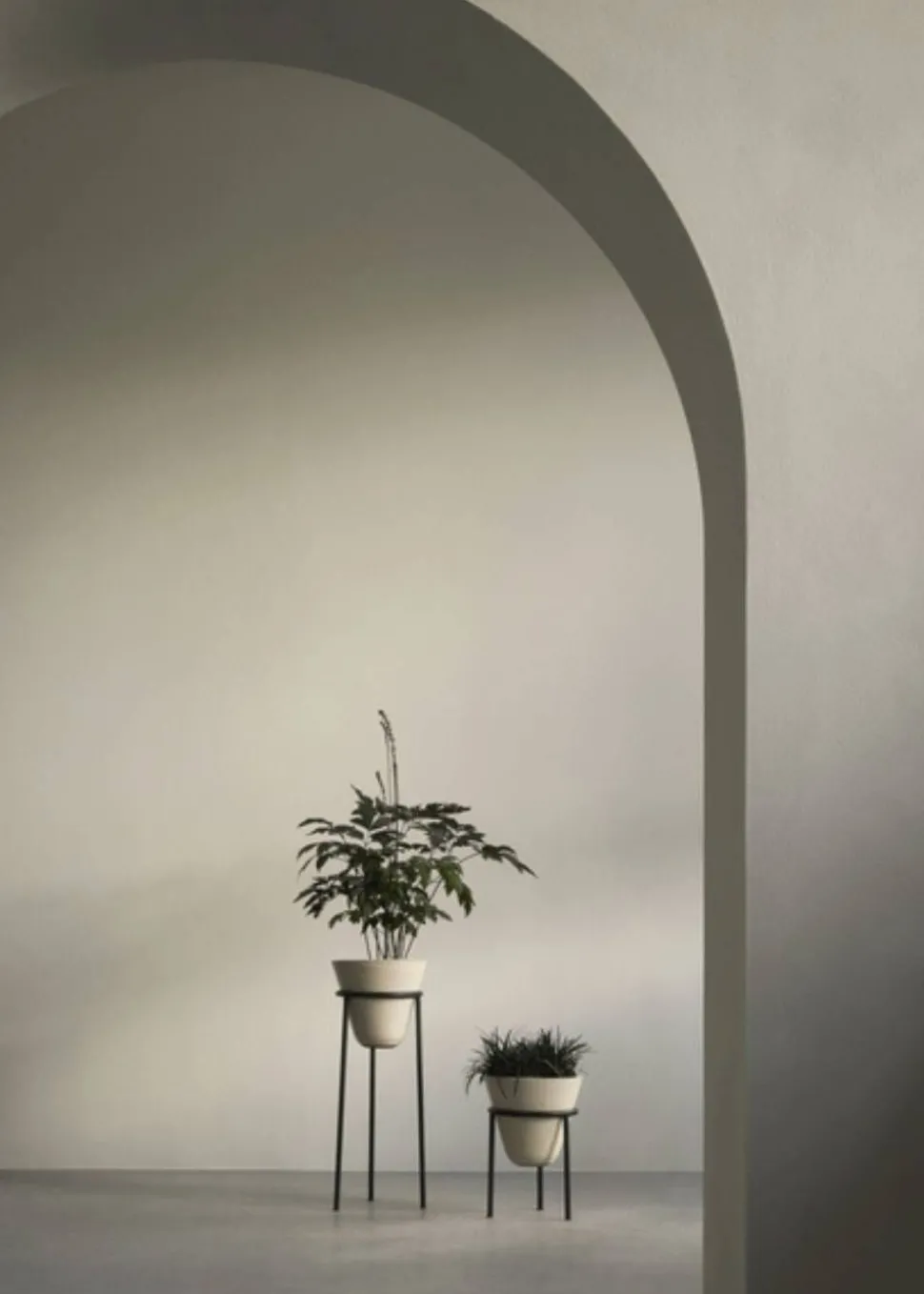 Daiza Planter