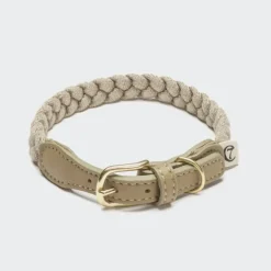 Dog Collar Blomen