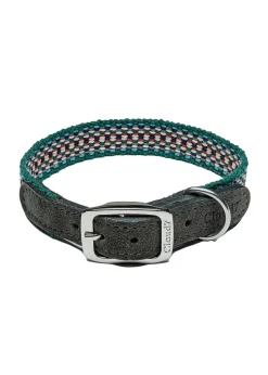 Dog Collar Prater