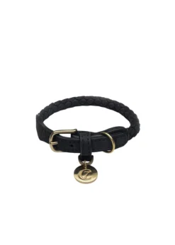 Dog Collar Ravello