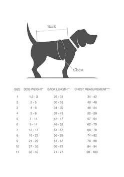 Dog Raincoat Dublin