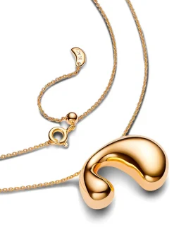 Dolphin Necklace