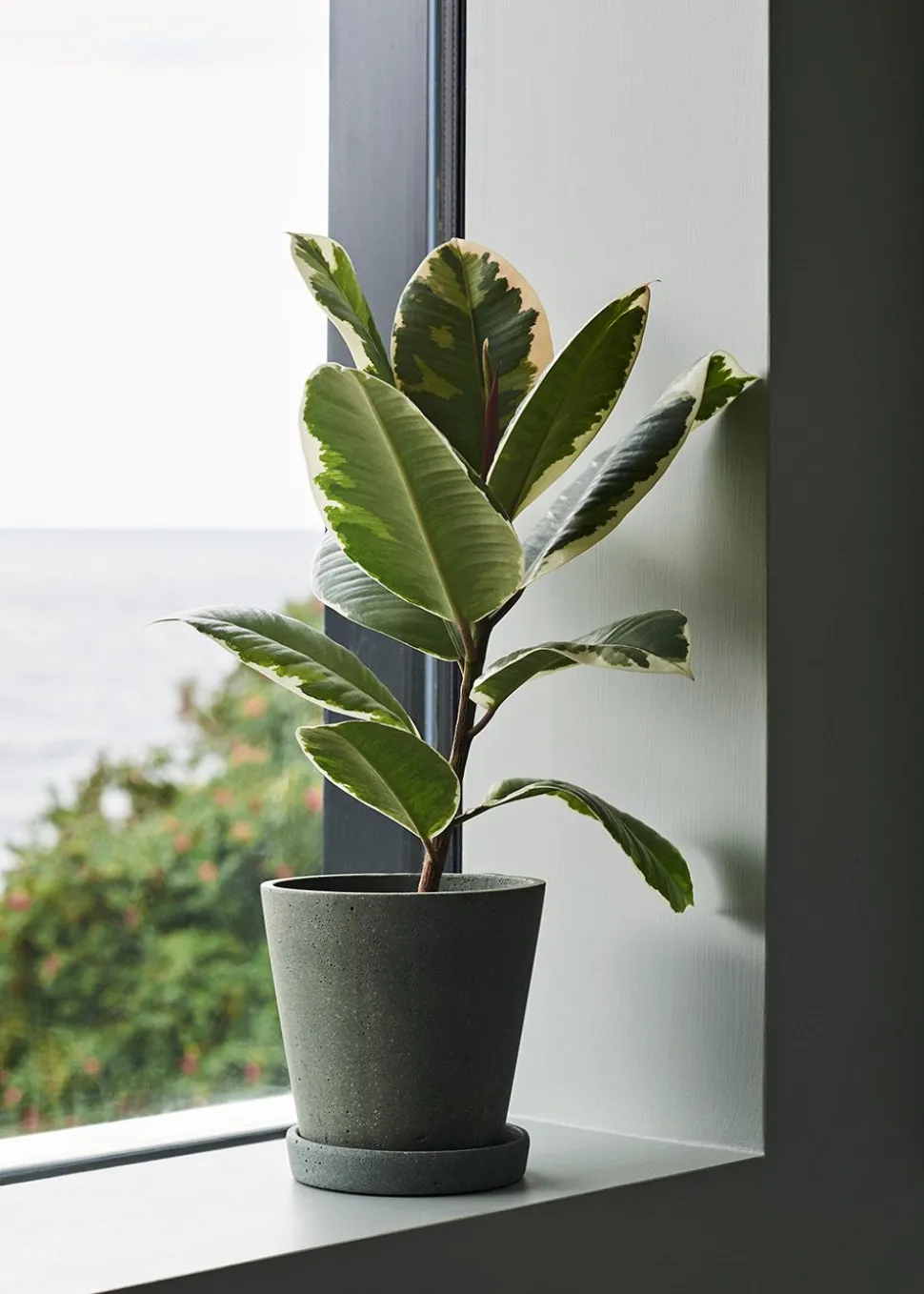 Flowerpot with saucer