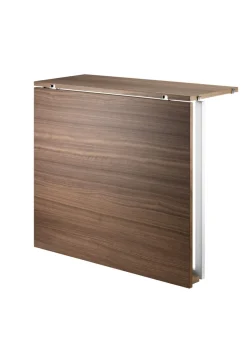 Folding Table