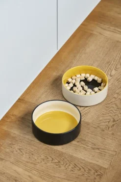 Hay Dogs Bowl