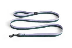 Hay Dogs Leash