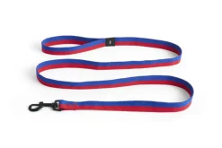 Hay Dogs Leash