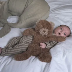 Houston Heavy Teddy Small