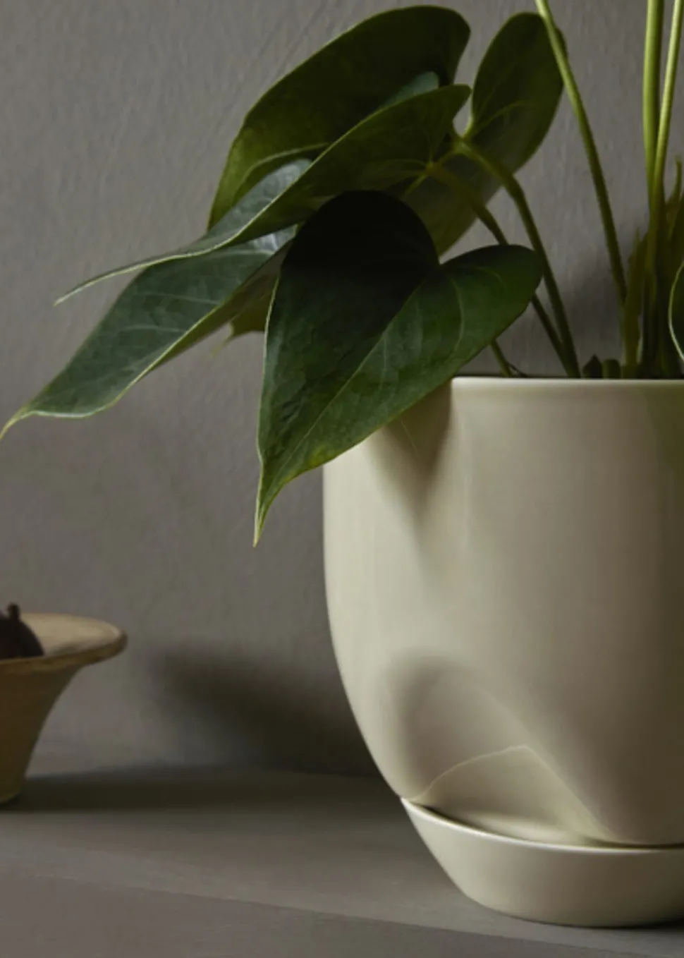 Hydrous Planter