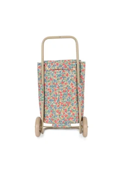 Kids Trolley