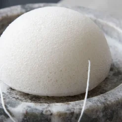 Konjac Svamp