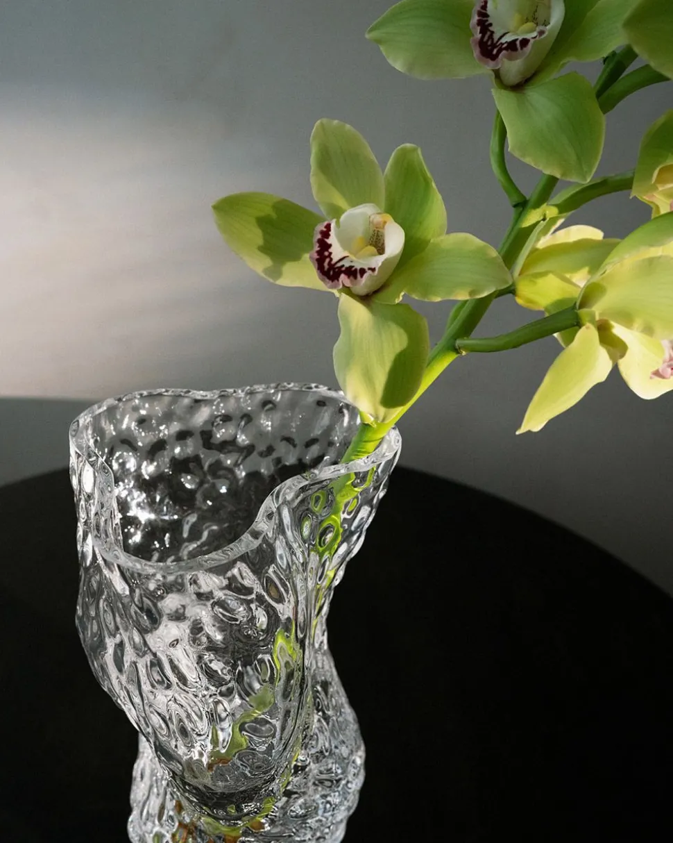 Ostrea Rock Glass Vase