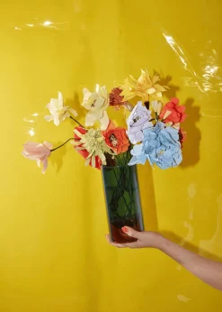 Paper Flower, Poppy