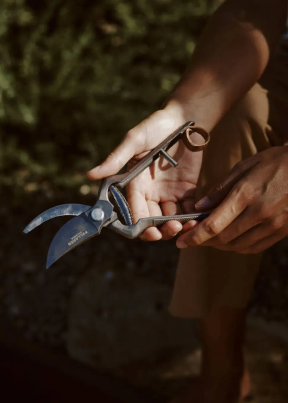 Plant Pruner
