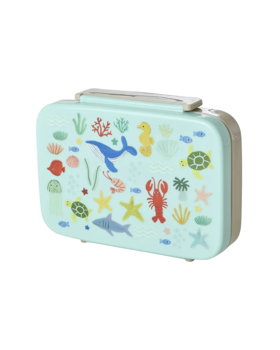 Plastic Lunchbox With 6 Rooms