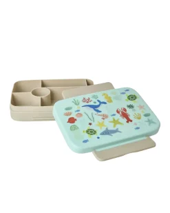 Plastic Lunchbox With 6 Rooms