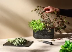 Pot-it Urtekasse
