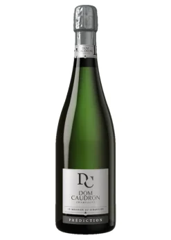 Prédiction Brut