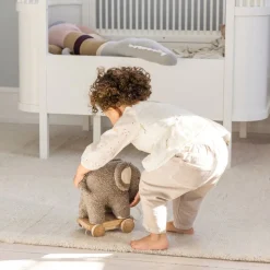 Pull-toy, Fanto