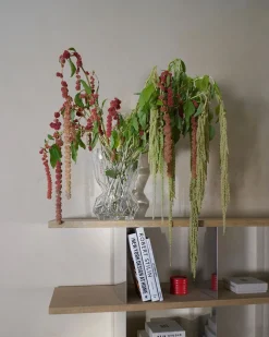 Reflection Vase