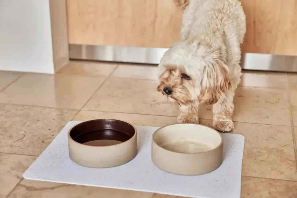 Sia Dog Bowl - Small