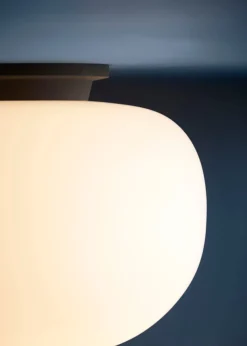Supernate Ceiling Light