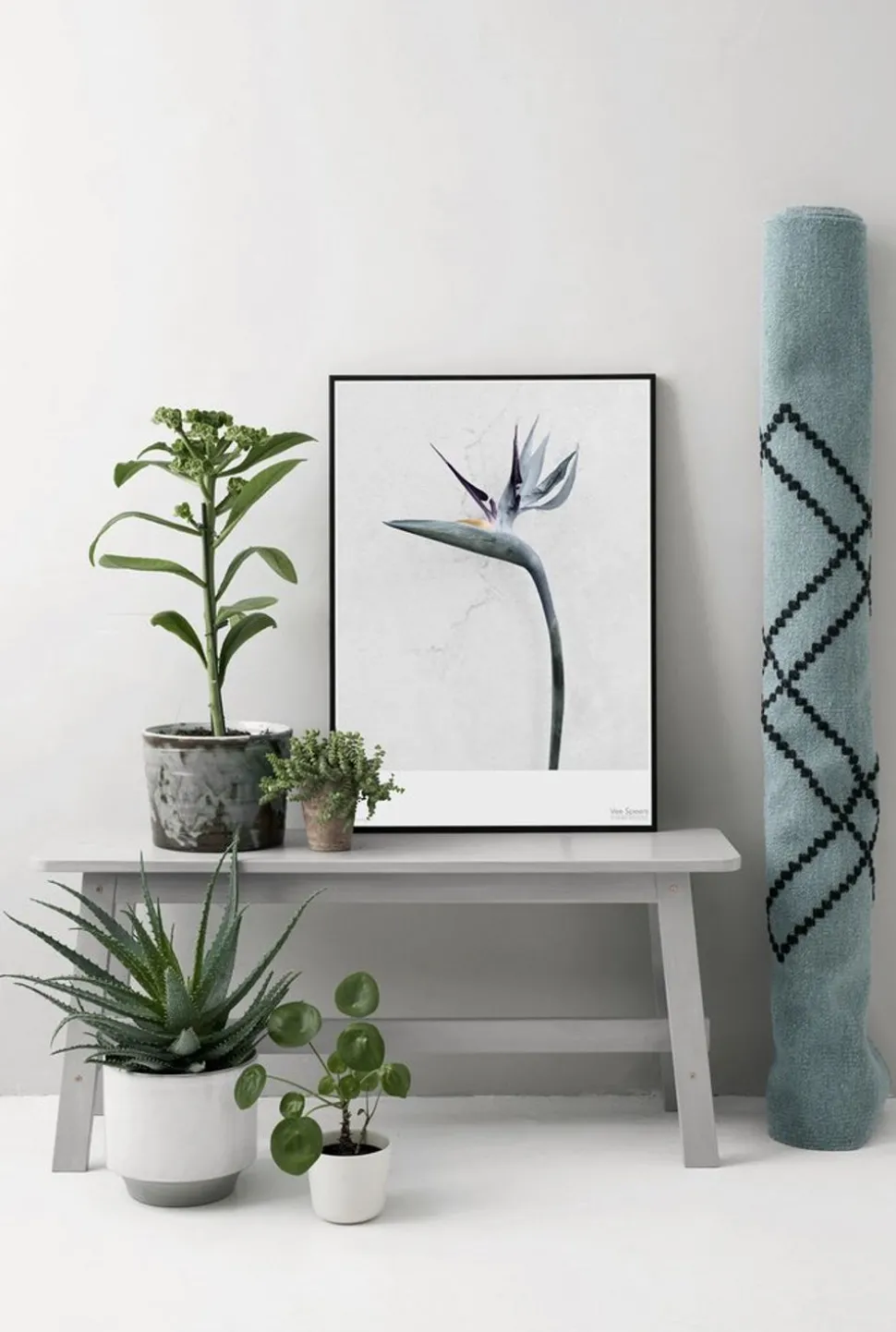 Vee Speers - Botanic Series