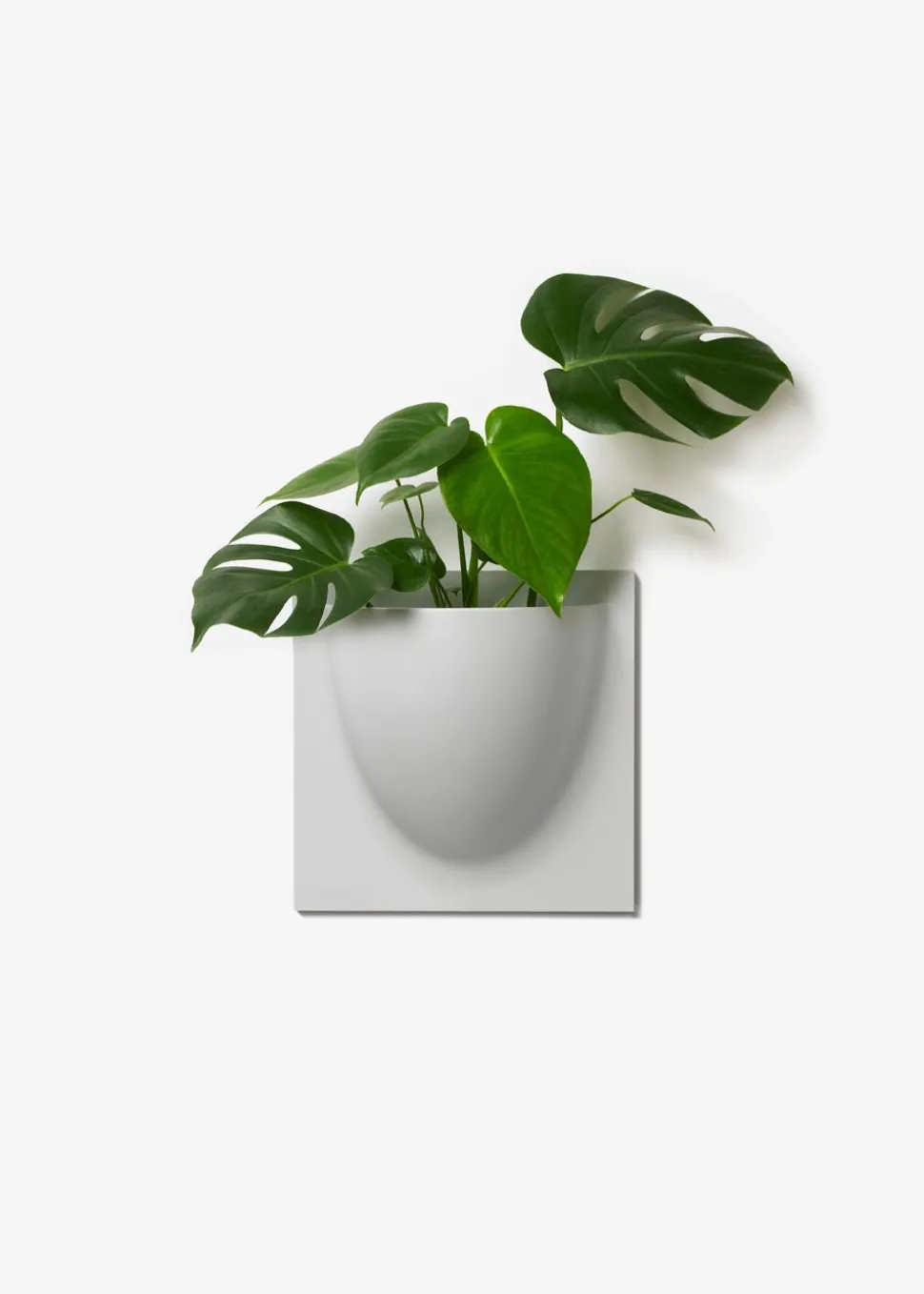 Vertiplants BIO