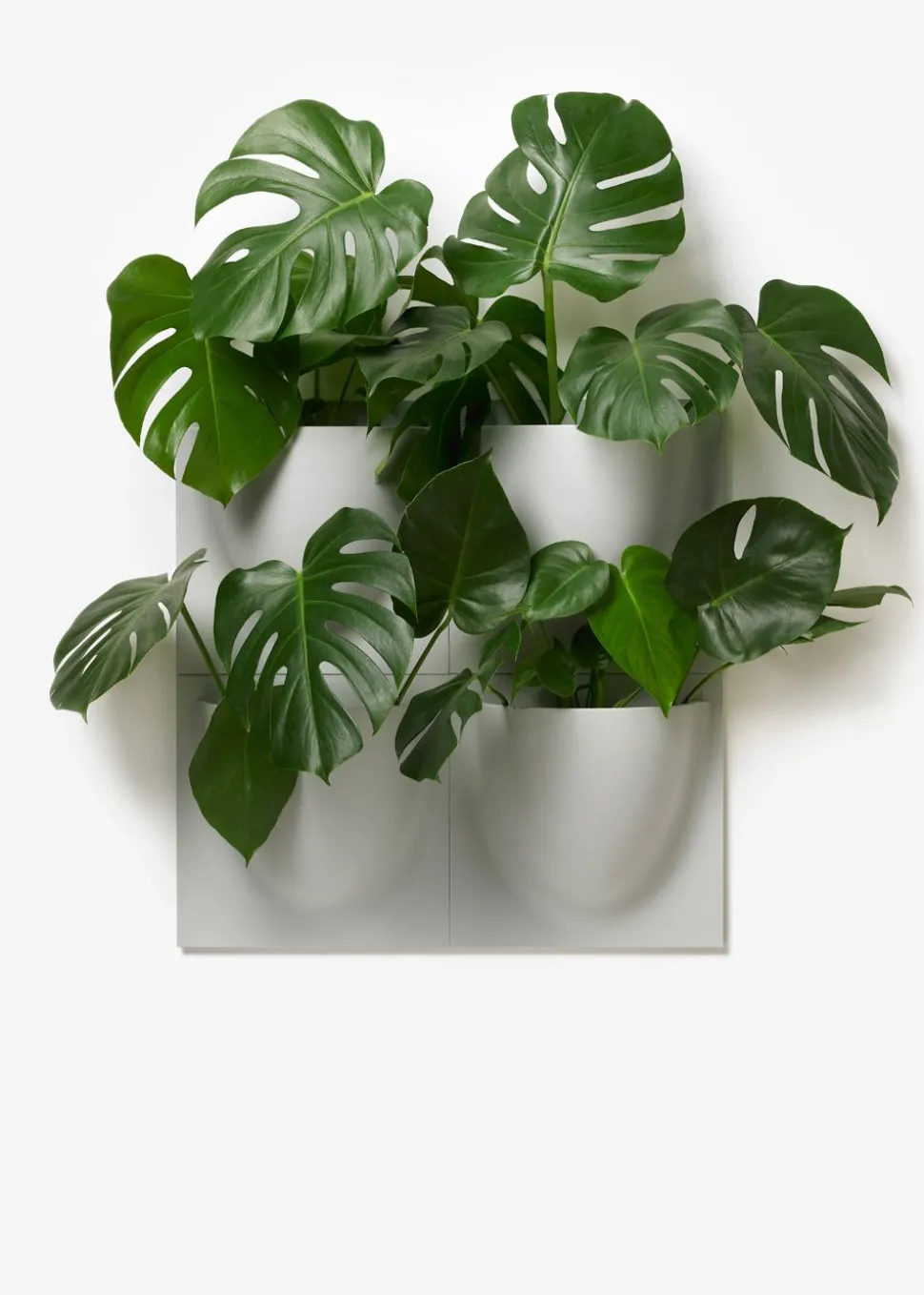 Vertiplants BIO