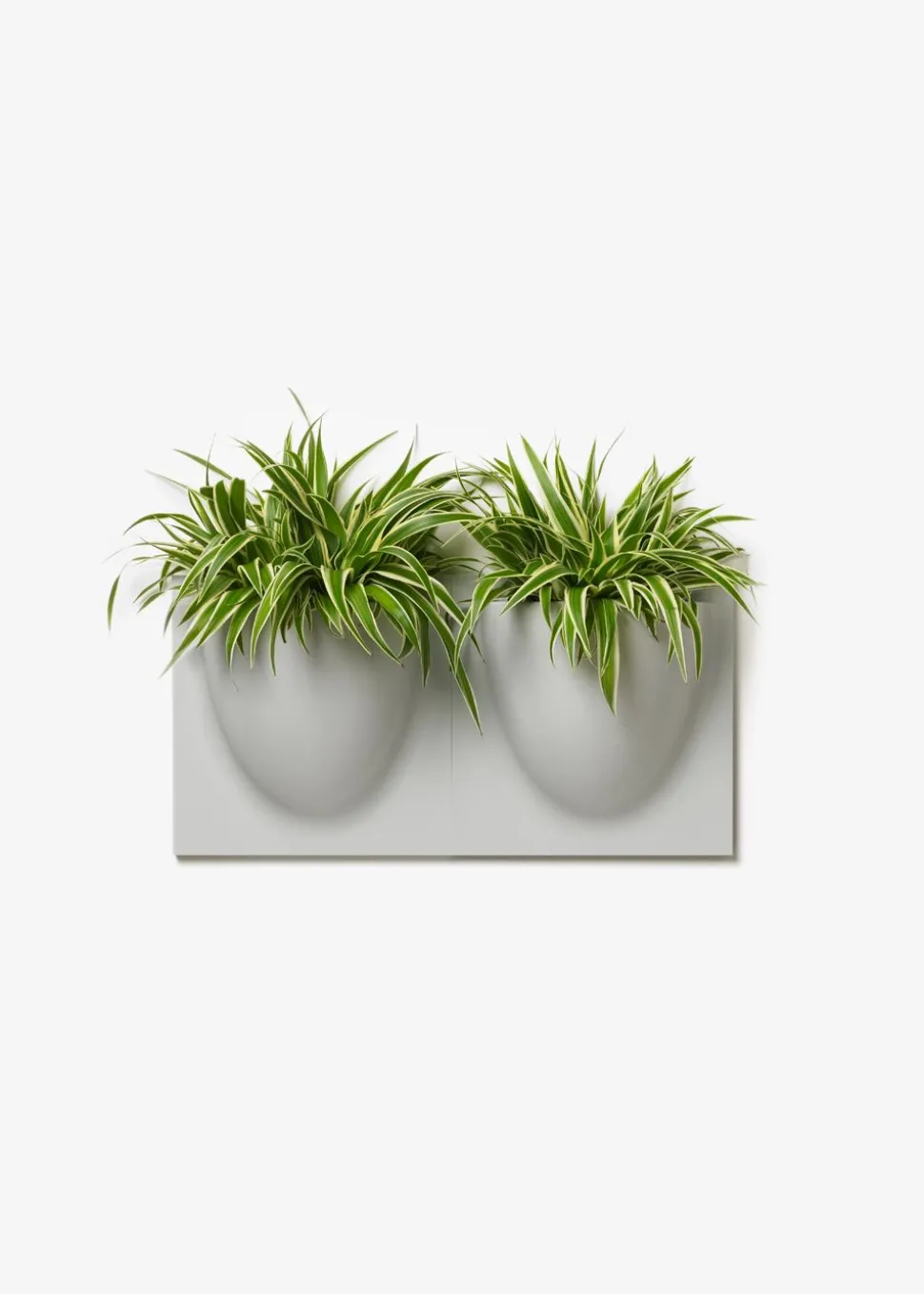 Vertiplants BIO
