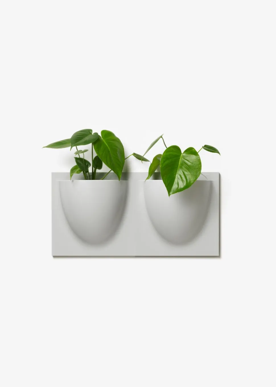 Vertiplants BIO