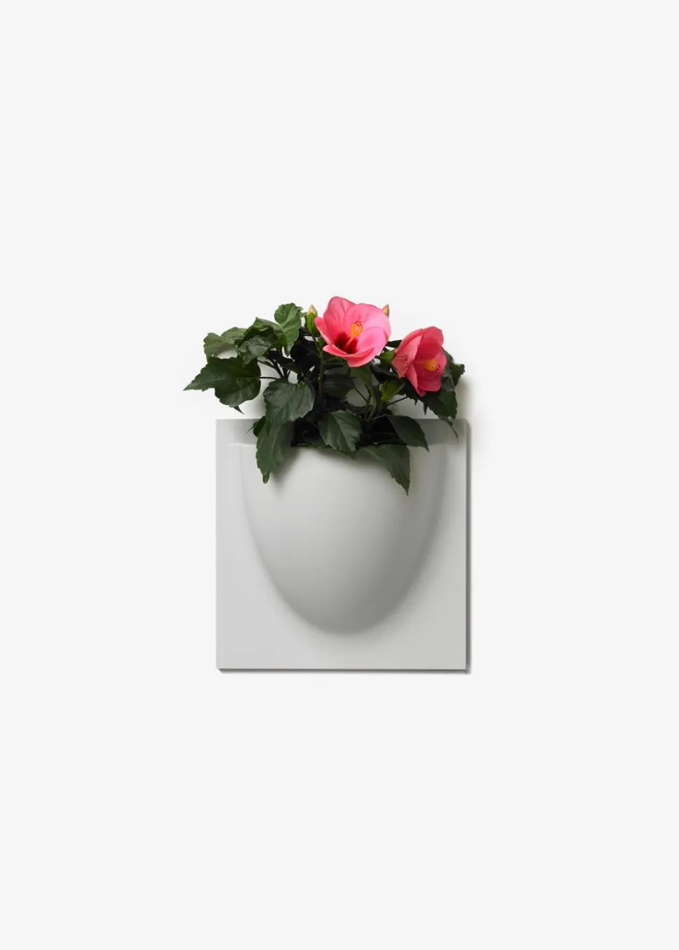 Vertiplants BIO