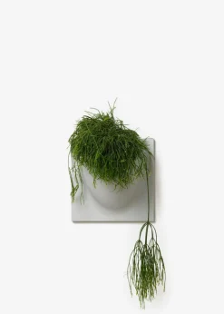 Vertiplants BIO