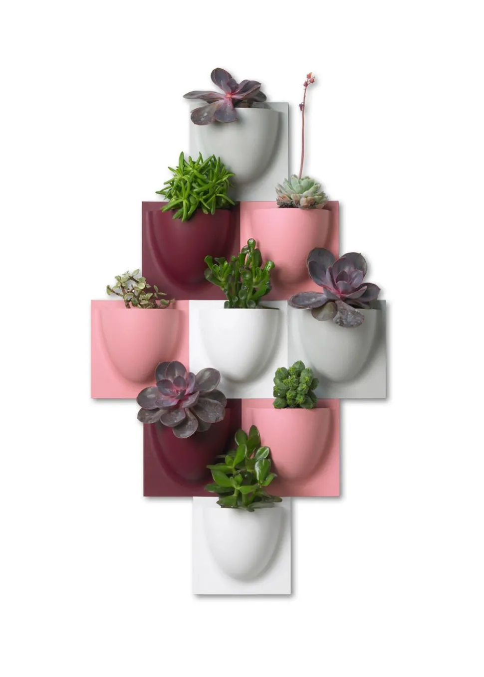 Vertiplants BIO