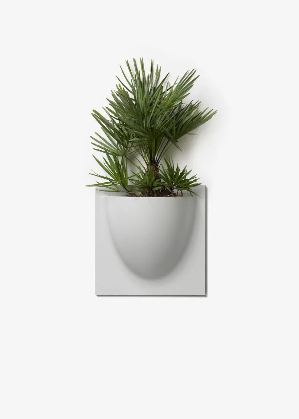 Vertiplants BIO