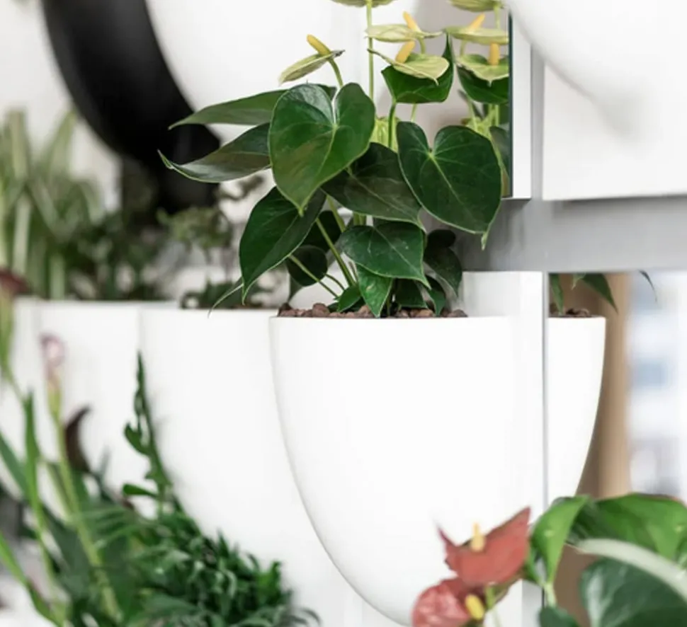 Vertiplants BIO