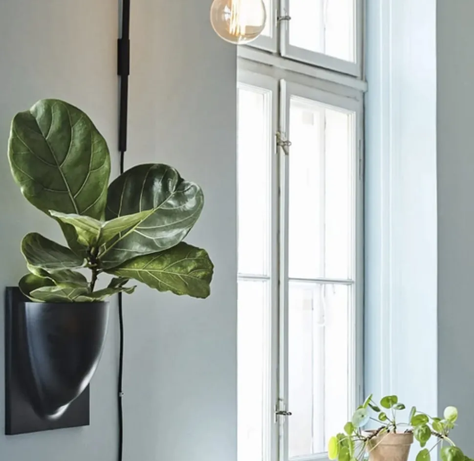 Vertiplants BIO