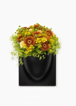 Vertiplants BIO