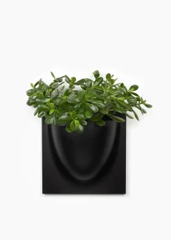 Vertiplants BIO