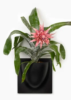 Vertiplants BIO
