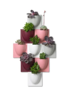 Vertiplants BIO