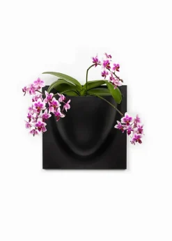 Vertiplants BIO